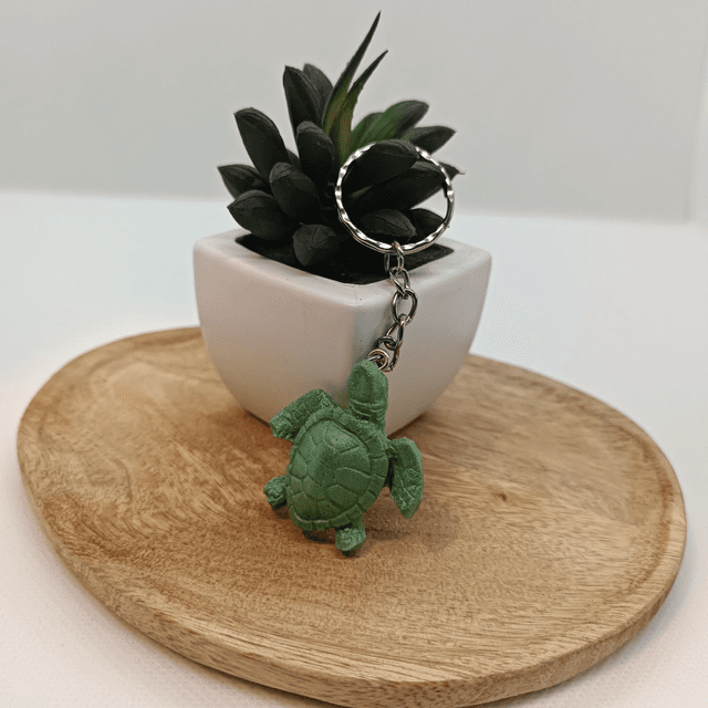Tortue - Vert